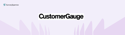6 CustomerGauge Alternatives Actually Worth Your Money in 2025