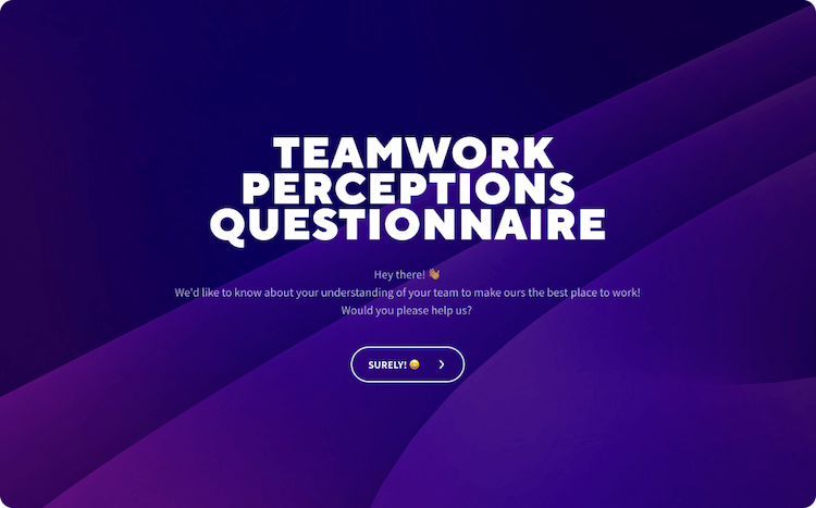 Teamwork Perceptions Questionnaire Template