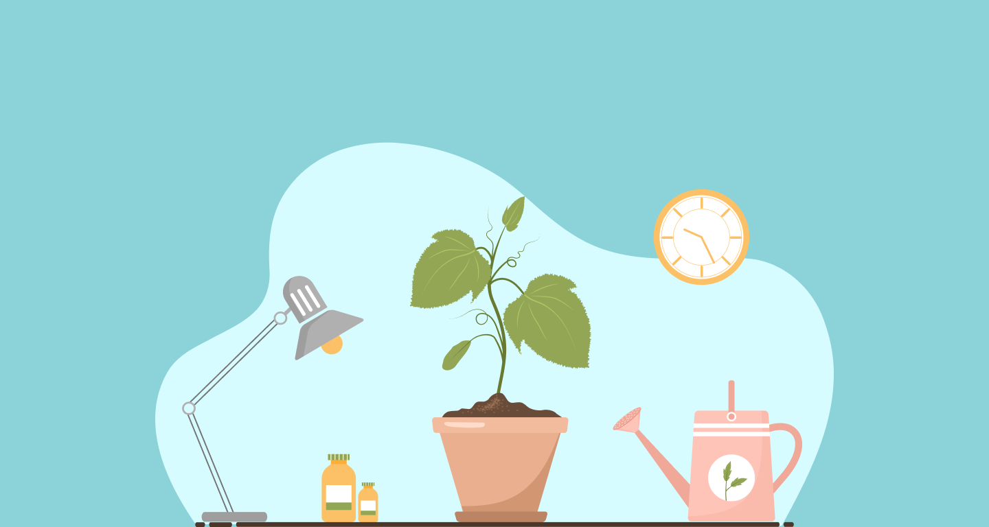 11 Best Tools for Small Businesses