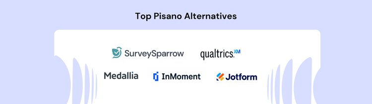 Top Pisano Alternatives-and-competitors banner-image-for-pisano-alternatives