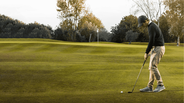 Landscapes Golf Management Landscape Golf case study