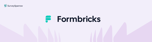 7 Best Formbricks Alternatives That Won't Break Your Budget (2025) 7 Best Formbricks Alternatives That Won't Break Your Budget (2025)