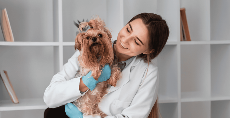 Supertails Supertails