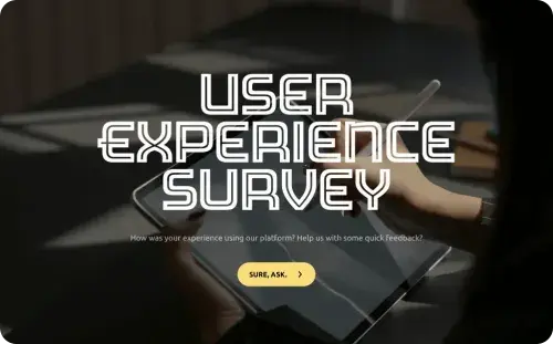 User Experience Survey Template User Experience Survey Template